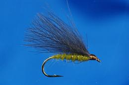  Olive F Wing